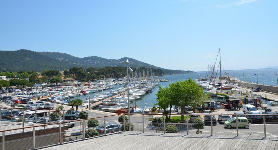 Studio 4 Personnes Avec Piscine, Tennis Lägenhet Hyères Exteriör bild
